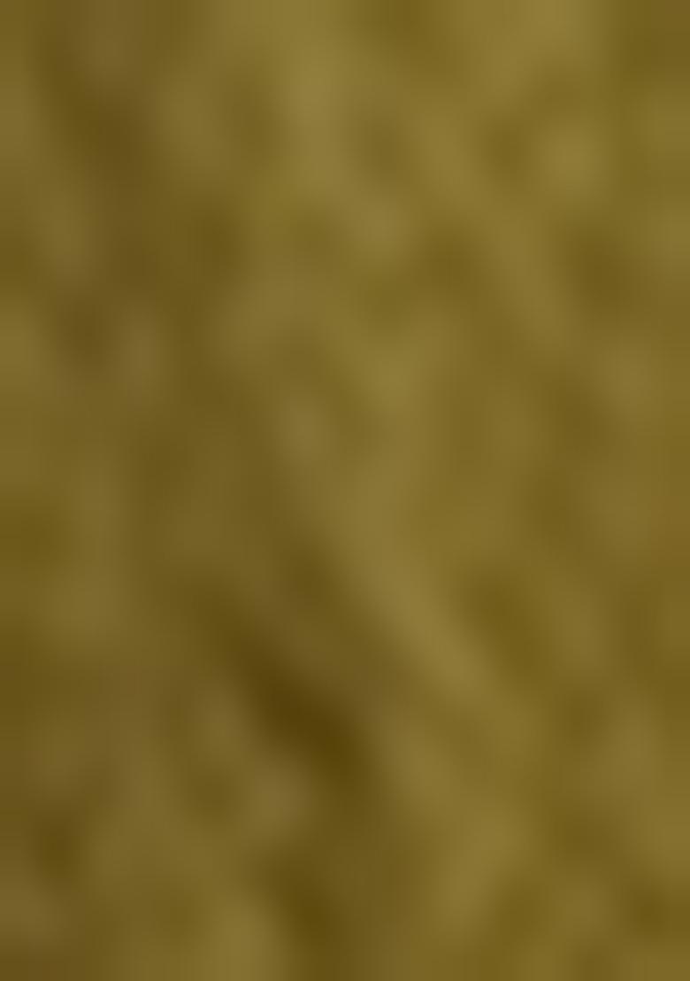 Olive Embroidered Silk Blend Salwar Kameez With Dupatta