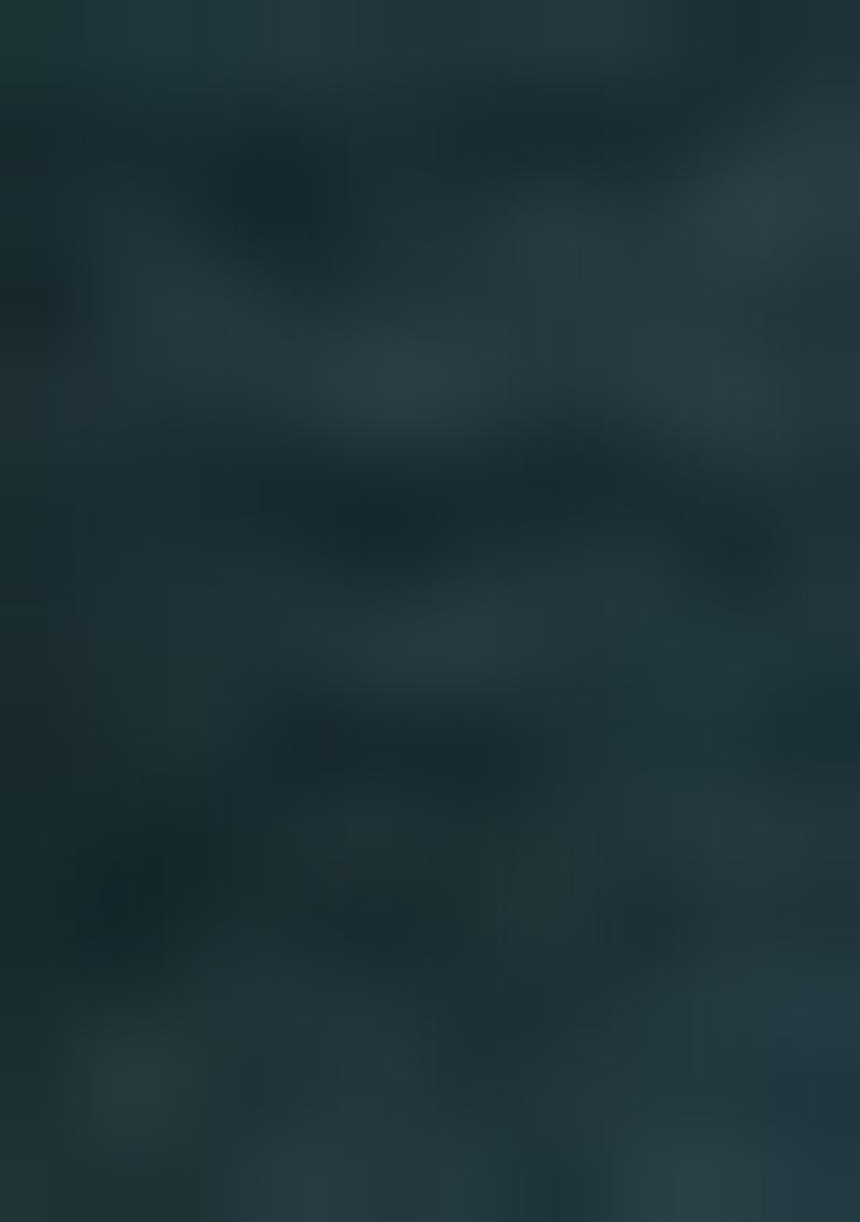 Green Embroidered Poly Silk Salwar Kameez With Dupatta