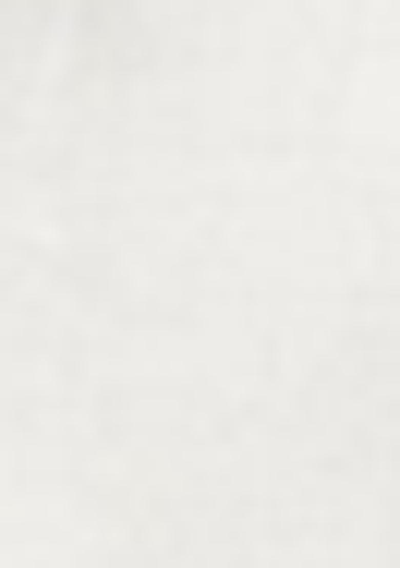 White Embroidered Cotton Blend Palazzo Set With Dupatta