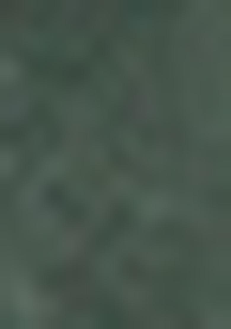 Green Embroidered Liva Palazzo Set With Dupatta