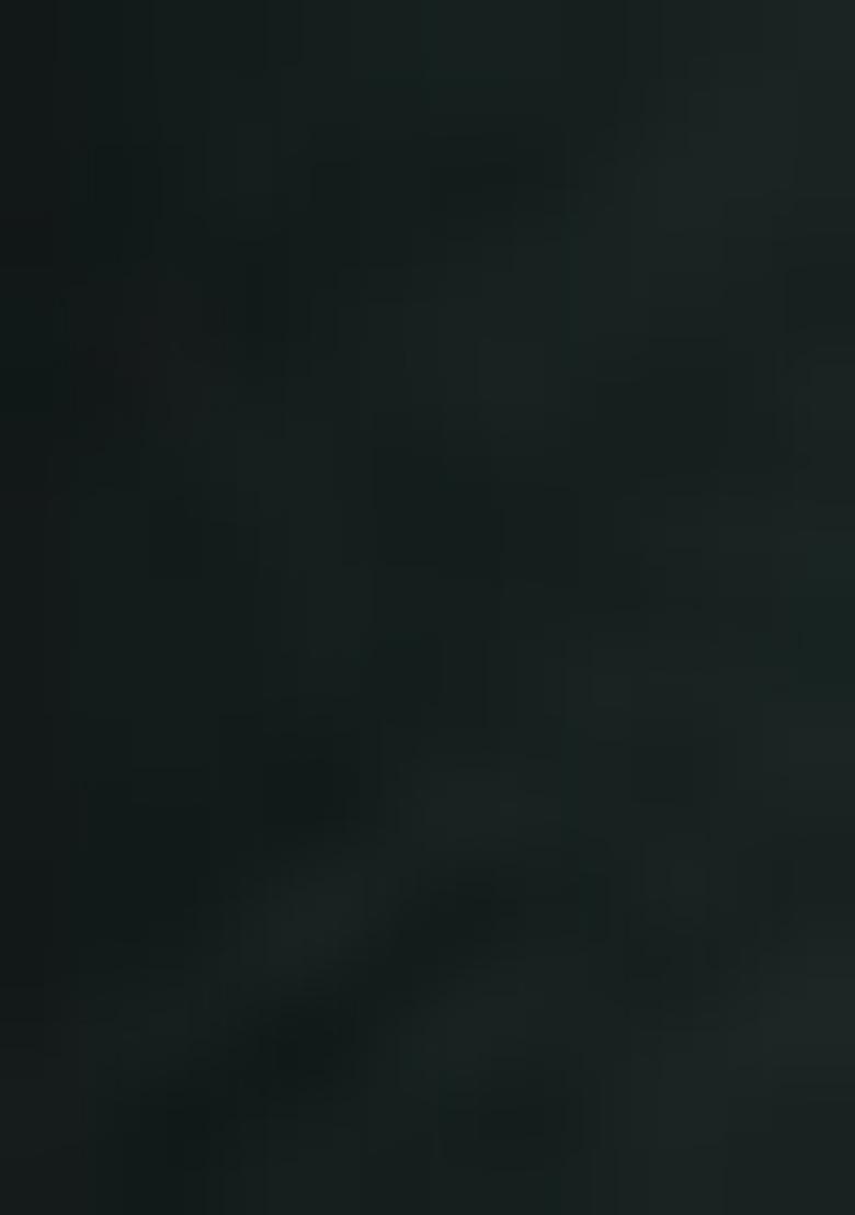 Green Embroidered Rayon Salwar Kameez With Dupatta