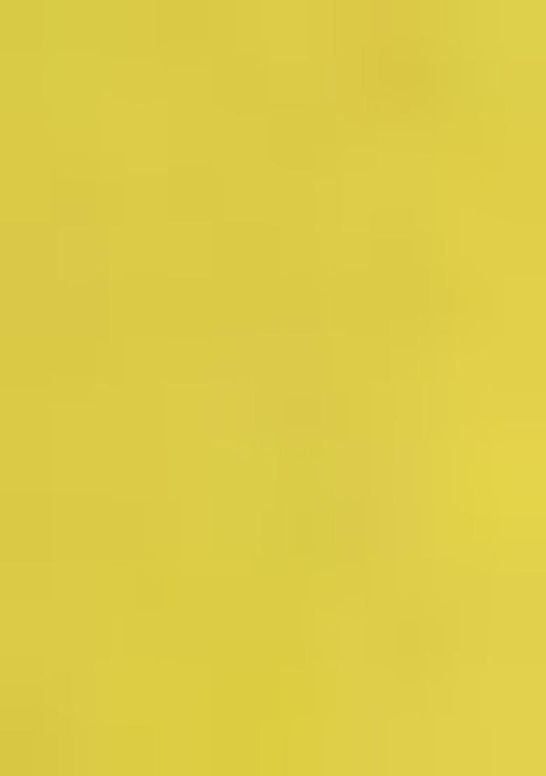 Lime Green Embroidered Silk Blend Salwar Kameez With Dupatta