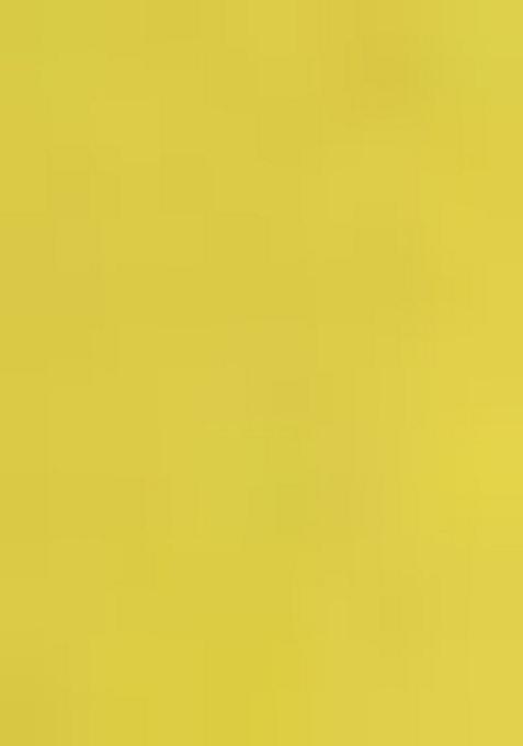 Lime Green Embroidered Silk Blend Salwar Kameez With Dupatta