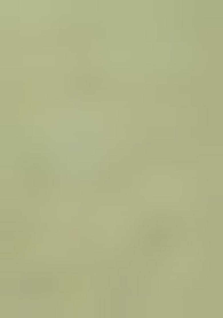 Green Solid Cotton Blend Palazzo Set With Dupatta