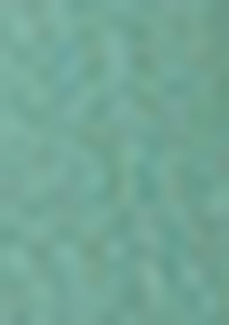 Green Embroidered Silk Blend Salwar Kameez With Dupatta