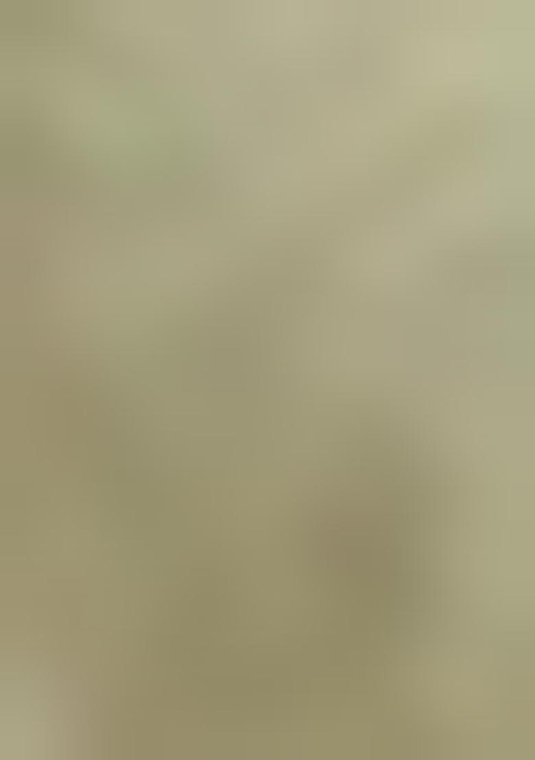 White Embroidered Silk Blend Salwar Kameez With Dupatta