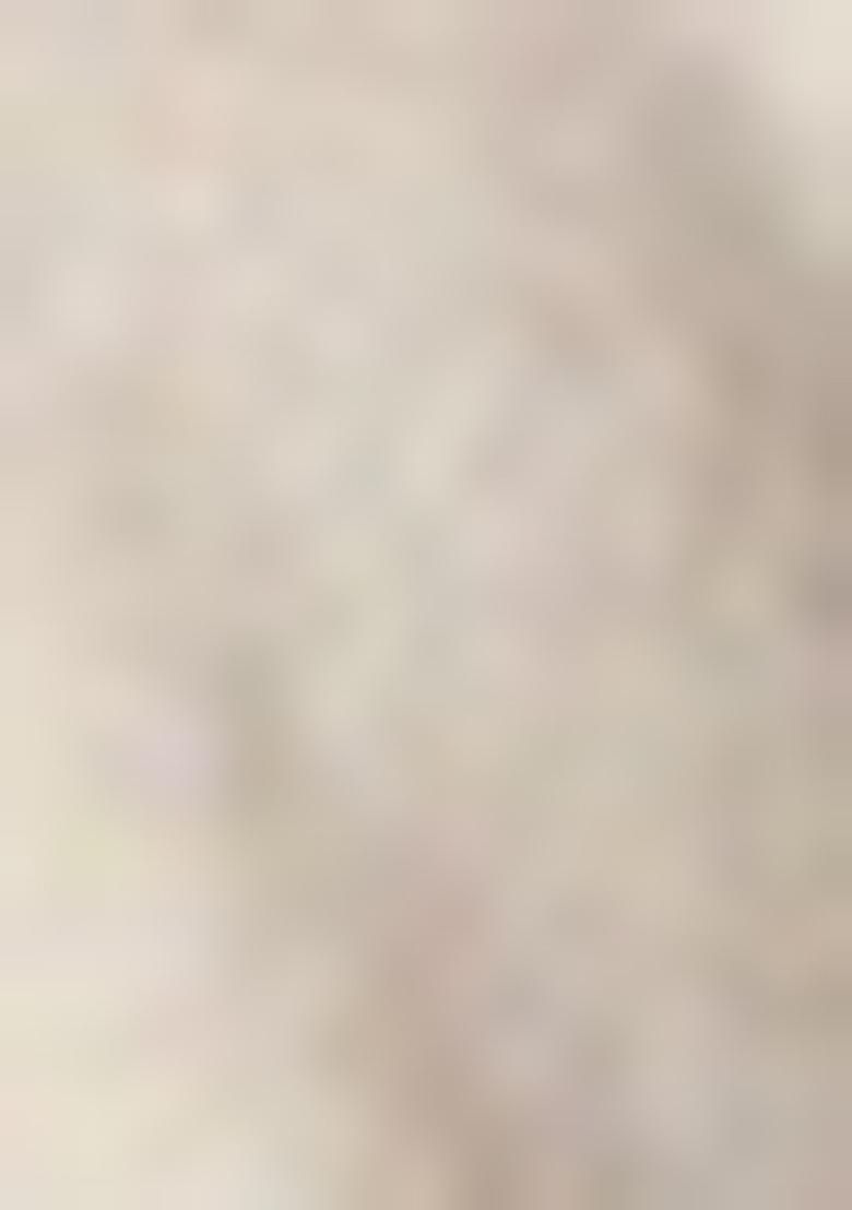 Grey Embroidered Silk Blend Salwar Kameez With Dupatta