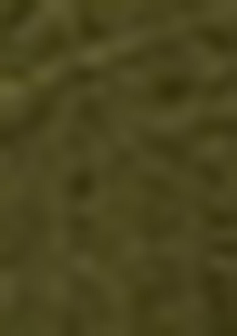 Green Embroidered Silk Blend Salwar Kameez With Dupatta