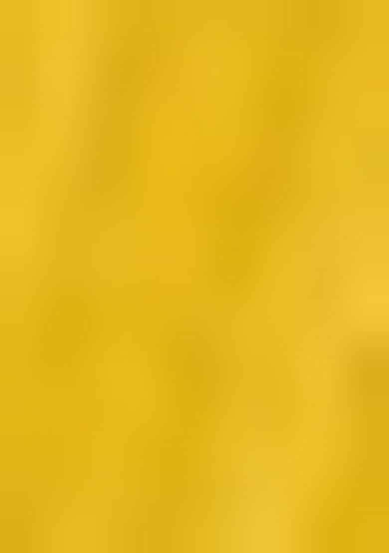 Yellow Embroidered Silk Blend Salwar Kameez With Dupatta