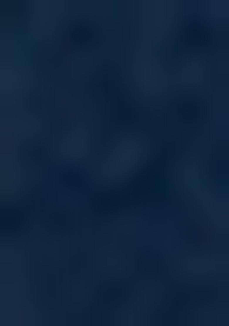 Blue Embroidered Silk Blend Salwar Kameez With Dupatta