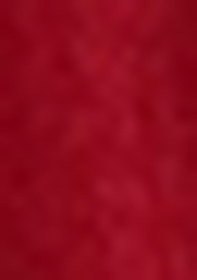 Maroon Embroidered Silk Blend Salwar Kameez With Dupatta