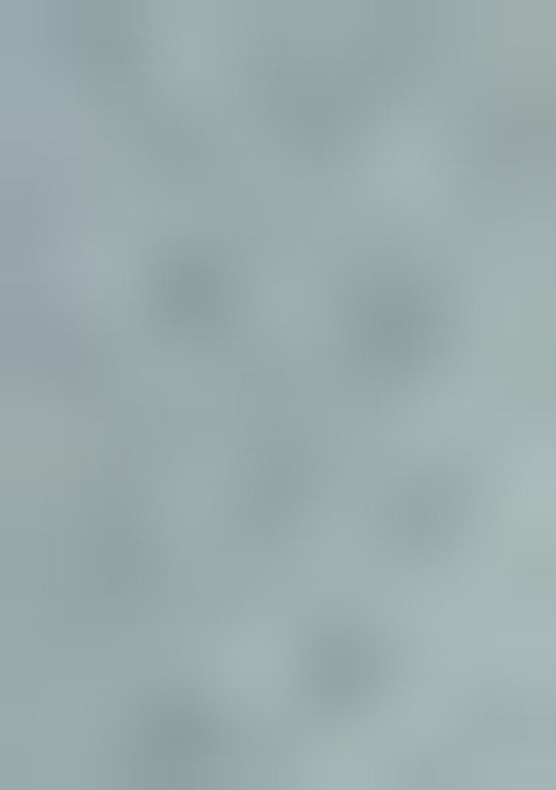 Sea Green Printed Cotton Blend Salwar Kameez With Dupatta