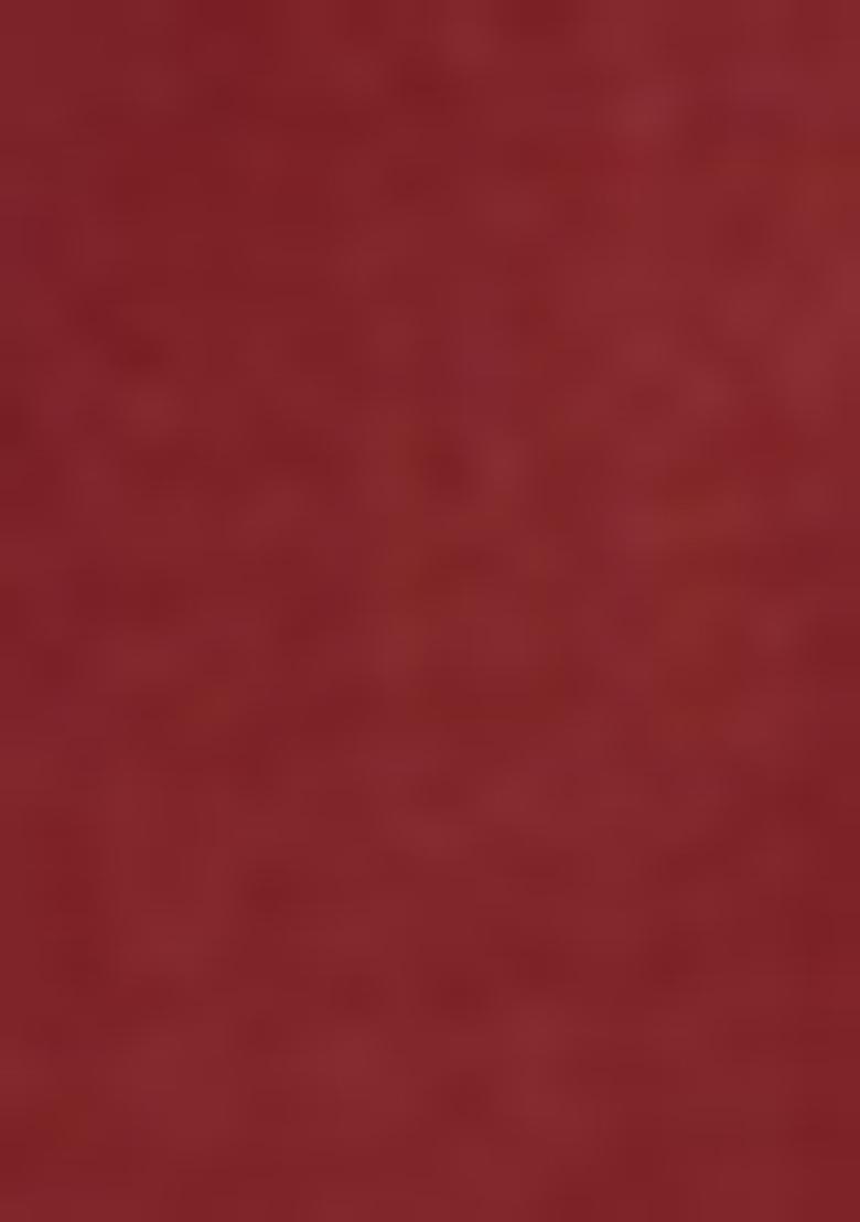 Rust Brown Embroidered Silk Blend Salwar Kameez With Dupatta