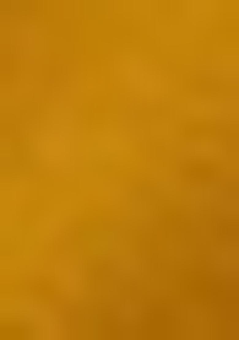 Yellow Embroidered Chinnon Salwar Kameez With Dupatta