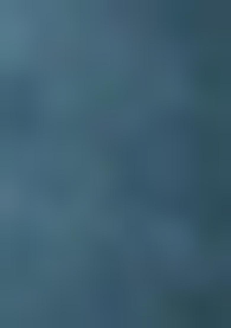 Blue Embroidered Organza Salwar Kameez With Dupatta