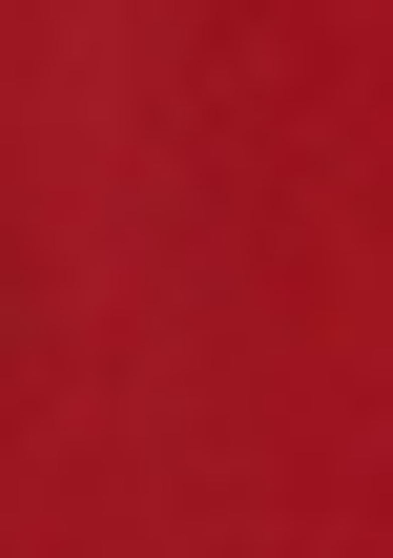 Red Embroidered Silk Blend Salwar Kameez With Dupatta