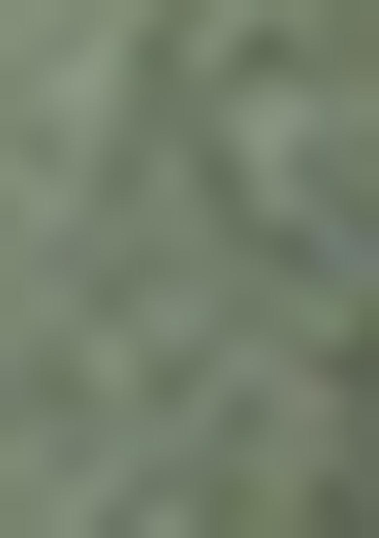 Green Embroidered Silk Blend Salwar Kameez With Dupatta