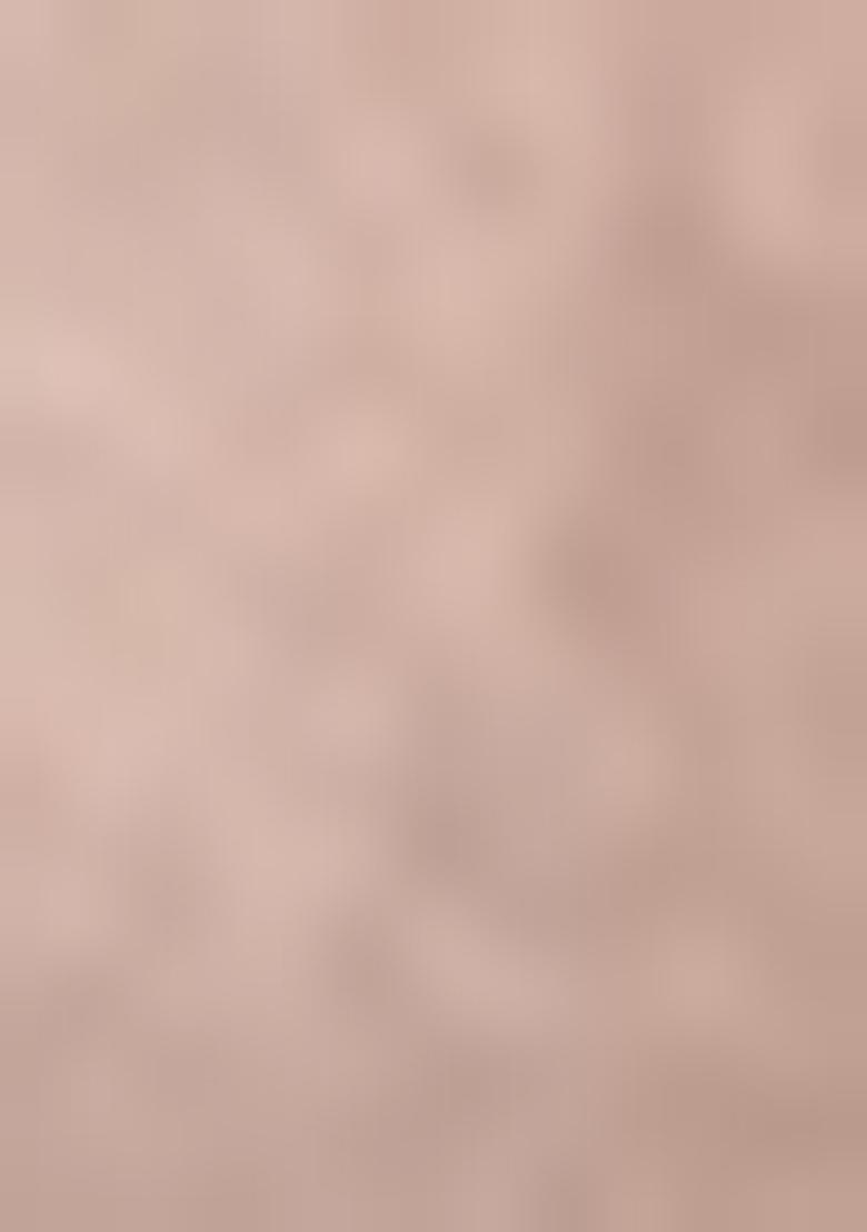 Brown Embroidered Silk Blend Salwar Kameez With Dupatta