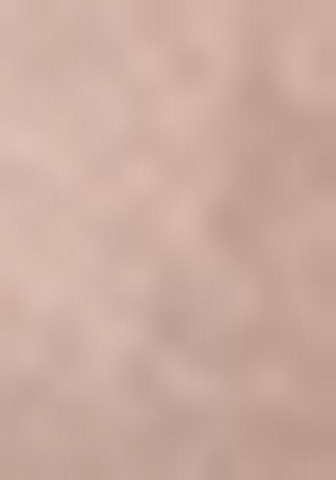 Brown Embroidered Silk Blend Salwar Kameez With Dupatta