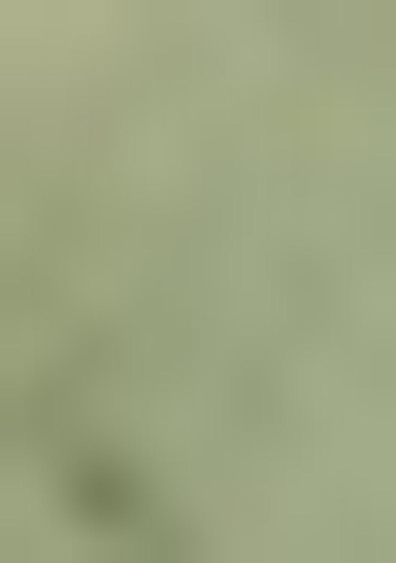 Cream Embroidered Silk Blend Salwar Kameez With Dupatta