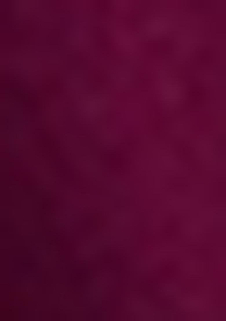 Burgundy Embroidered Rayon Salwar Kameez With Dupatta