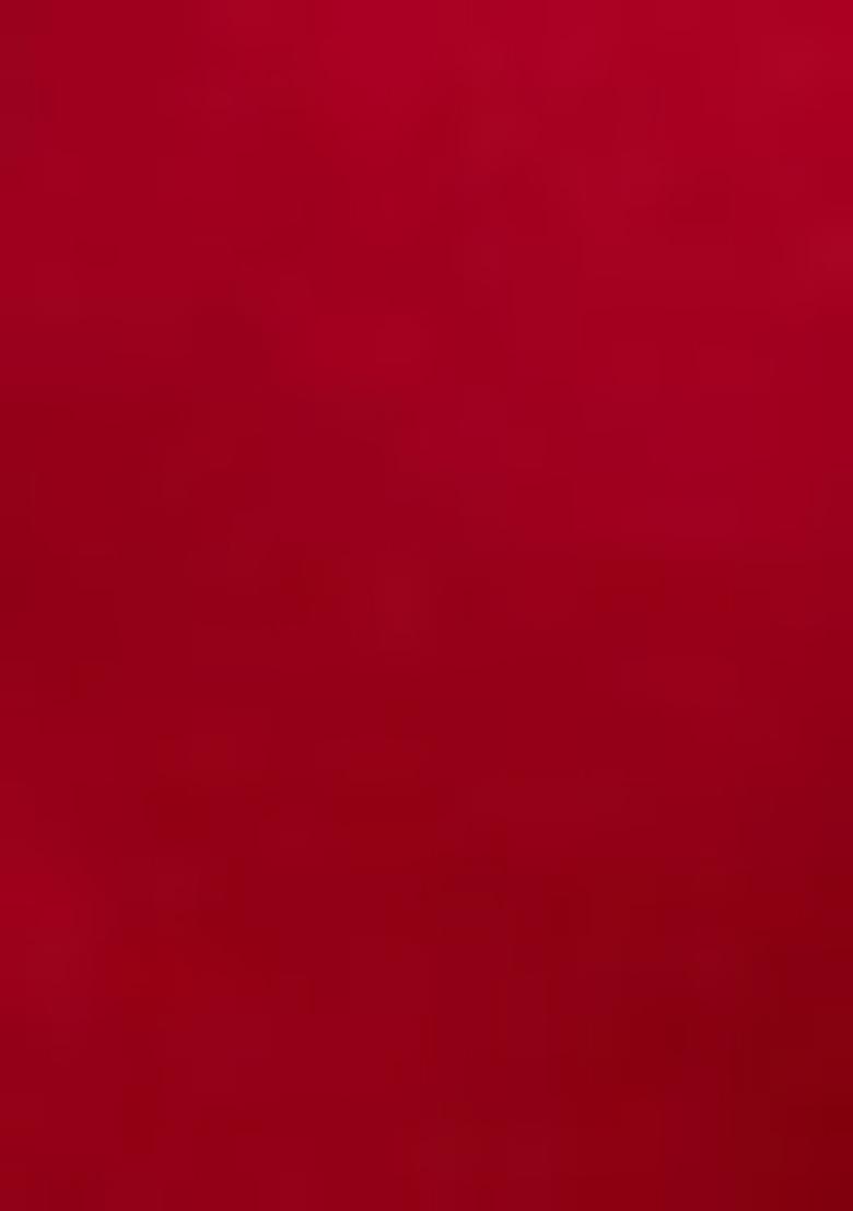 Red Embroidered Silk Blend Salwar Kameez With Dupatta