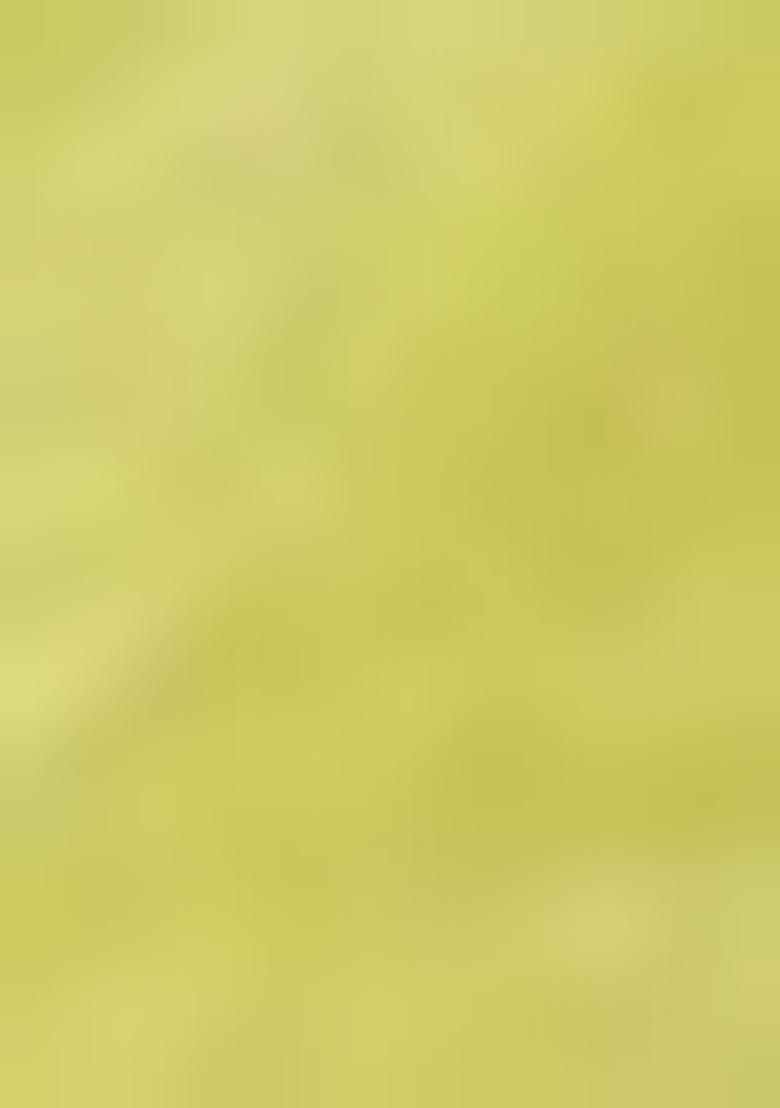 Green Embroidered Liva Salwar Kameez With Dupatta