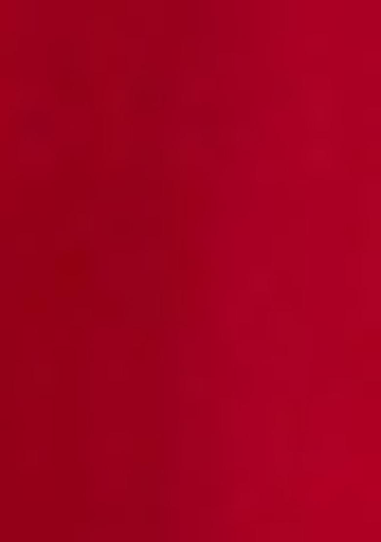 Red Embroidered Silk Blend Salwar Kameez With Dupatta