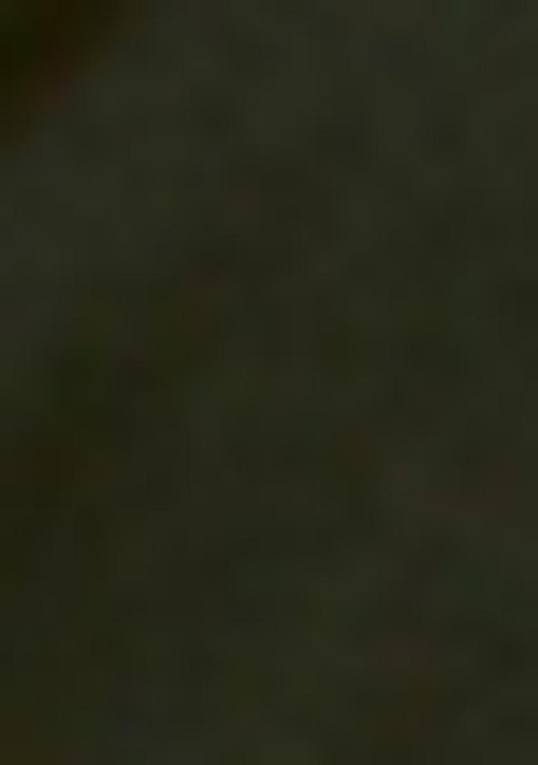 Black Embroidered Silk Blend Salwar Kameez With Dupatta