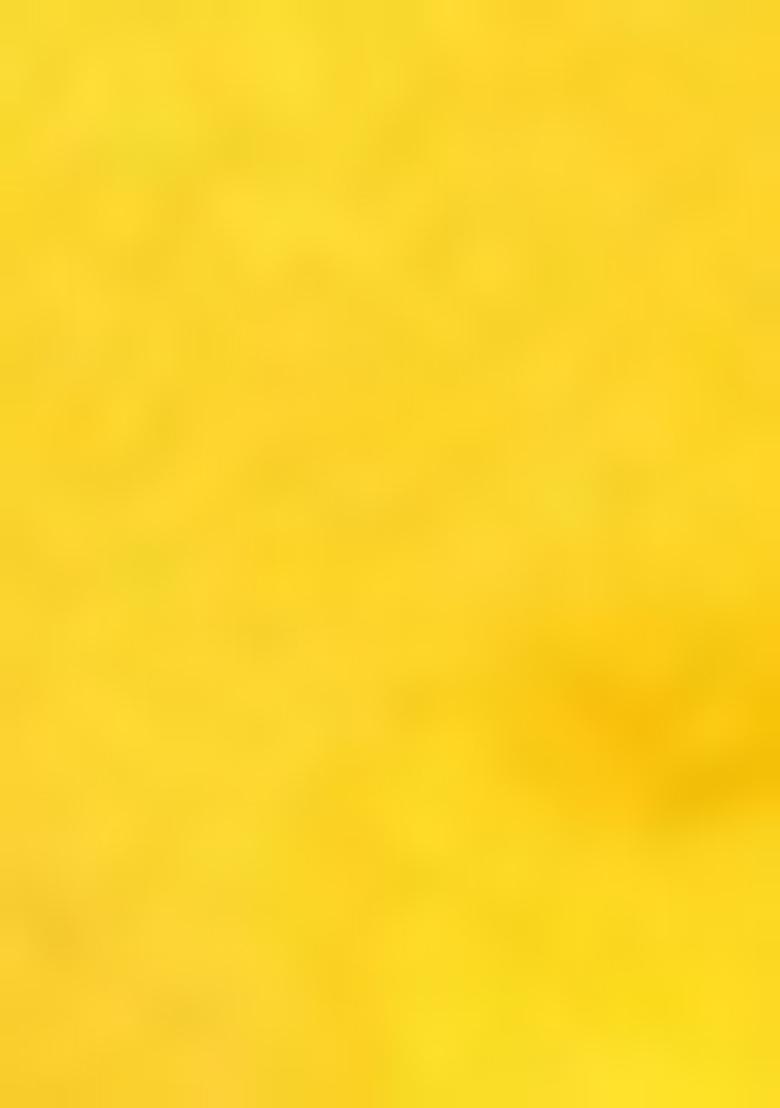 Mustard Yellow Embroidered Silk Blend Salwar Kameez With Dupatta