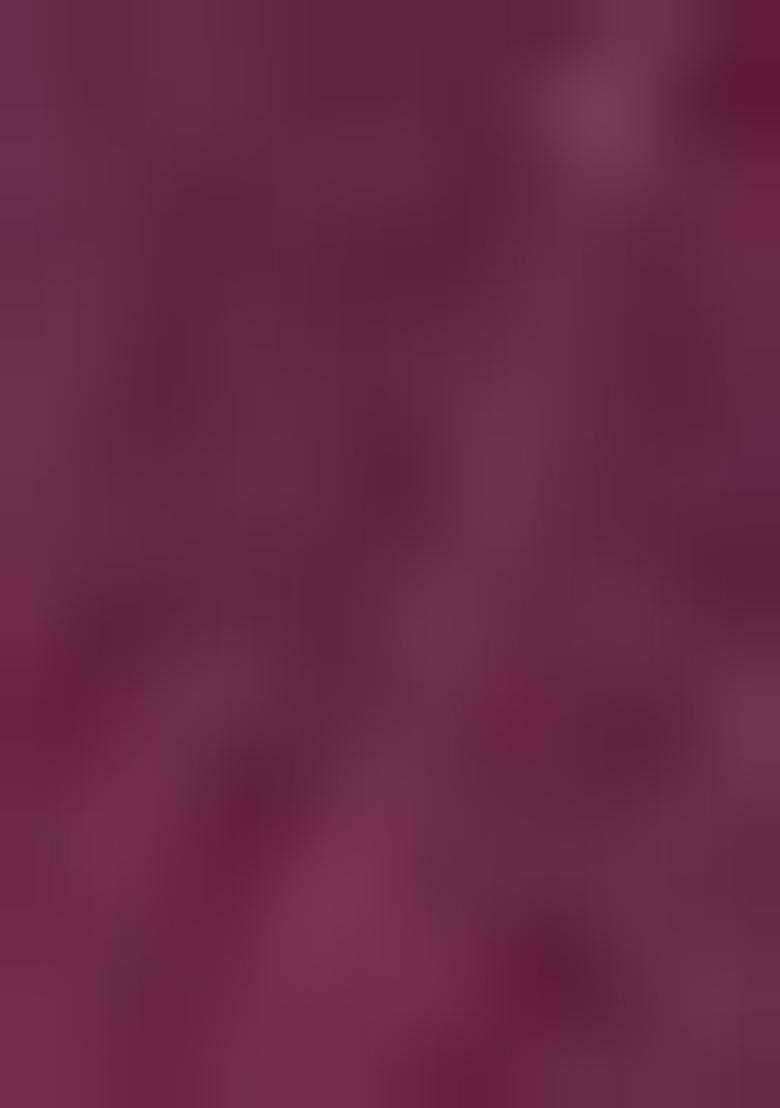 Burgundy Printed Pure Cotton Salwar Kameez With Dupatta