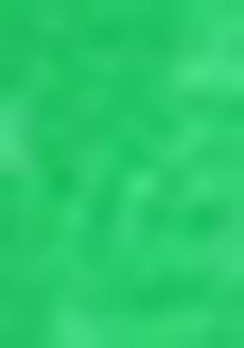 Green Printed Georgette Salwar Kameez With Dupatta