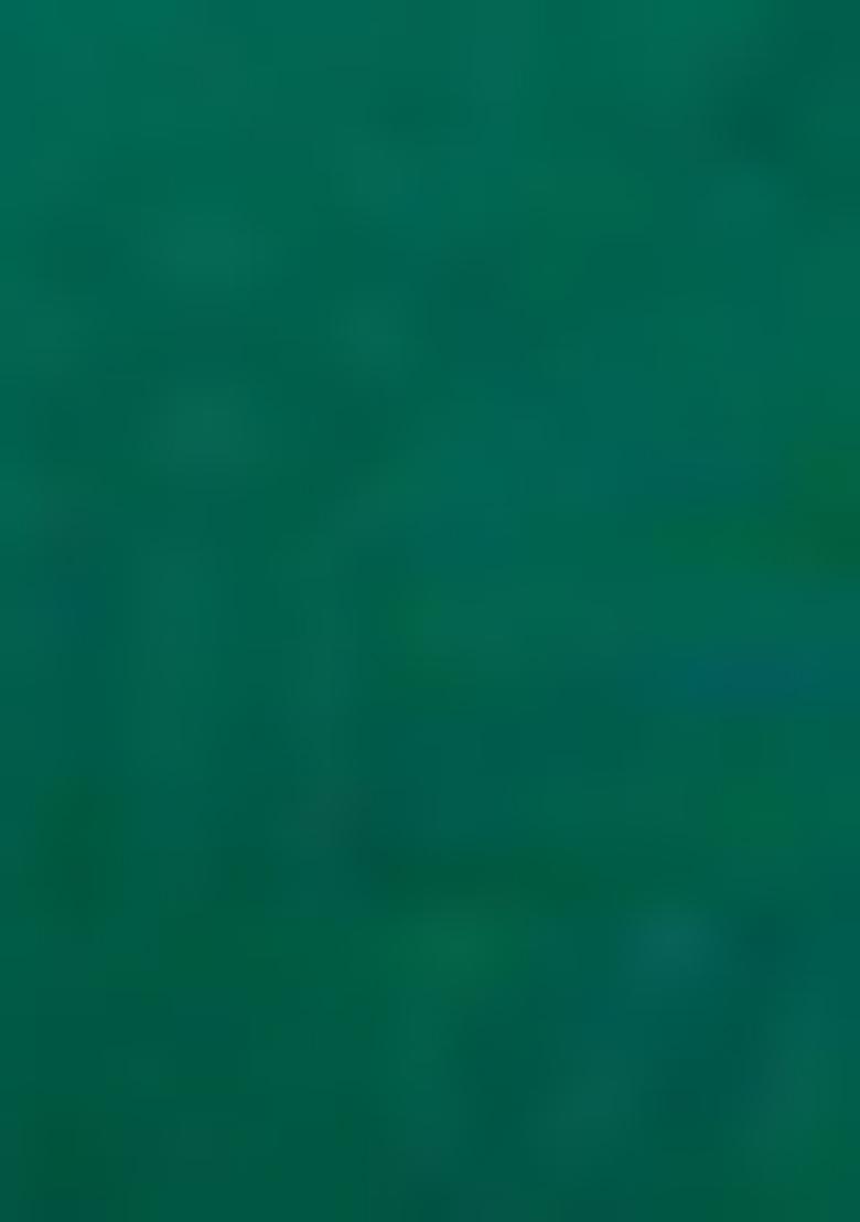 Bottle Green Printed Crepe Salwar Kameez With Dupatta