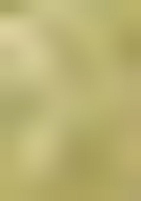 Mehndi Green Printed Crepe Salwar Kameez With Dupatta