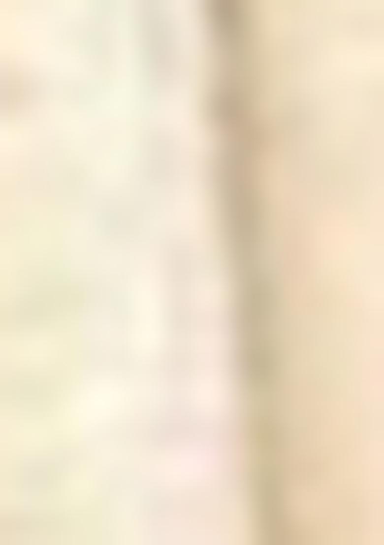 Beige Embroidered Cotton Salwar Kameez With Dupatta