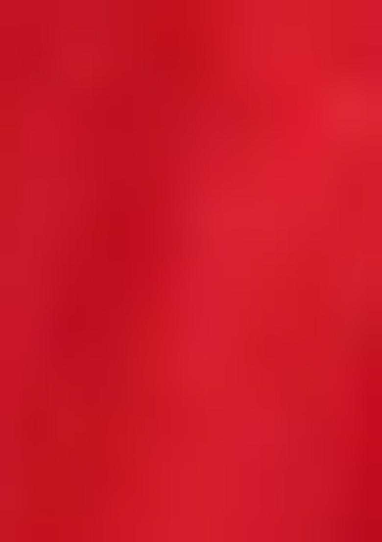 Red Embroidered Viscose Salwar Kameez With Dupatta