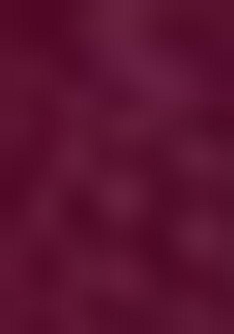 Wine Embroidered Viscose Silk Salwar Kameez With Dupatta