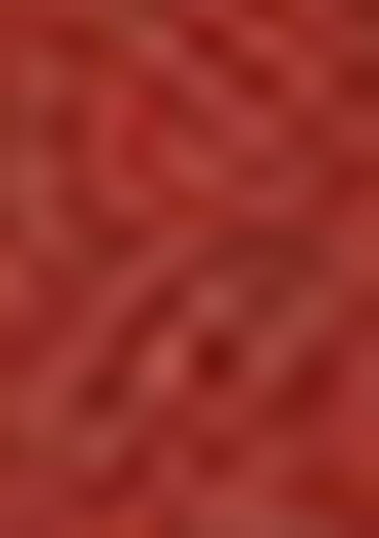 Brown Printed Cotton Blend Salwar Kameez With Dupatta