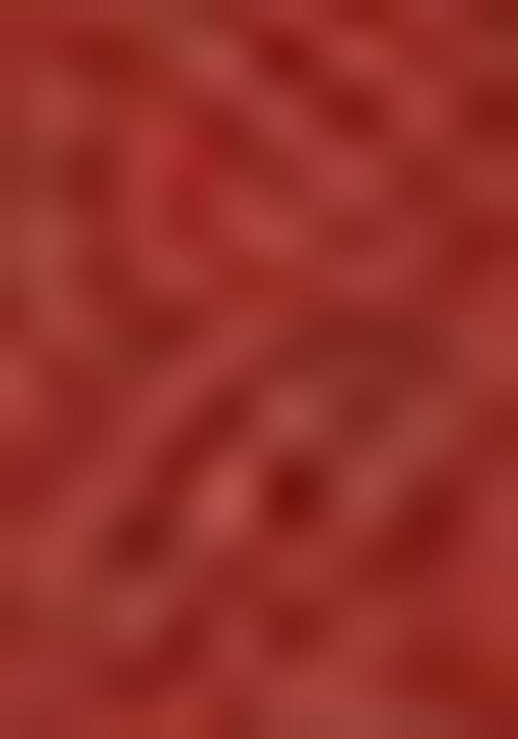 Brown Printed Cotton Blend Salwar Kameez With Dupatta