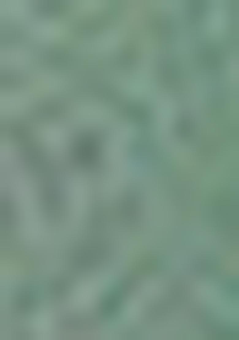 Pista Green Solid Cotton Blend Salwar Kameez With Dupatta