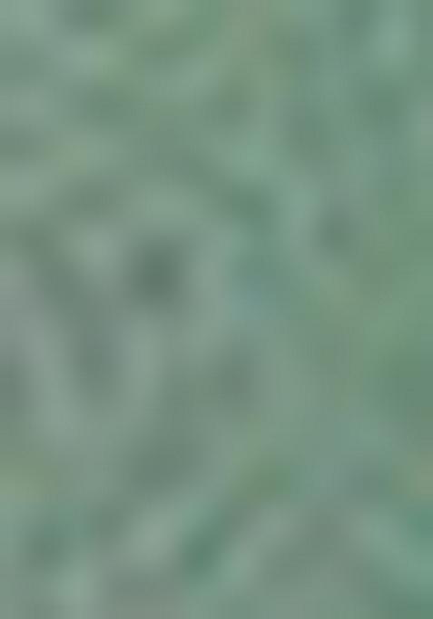 Pista Green Solid Cotton Blend Salwar Kameez With Dupatta