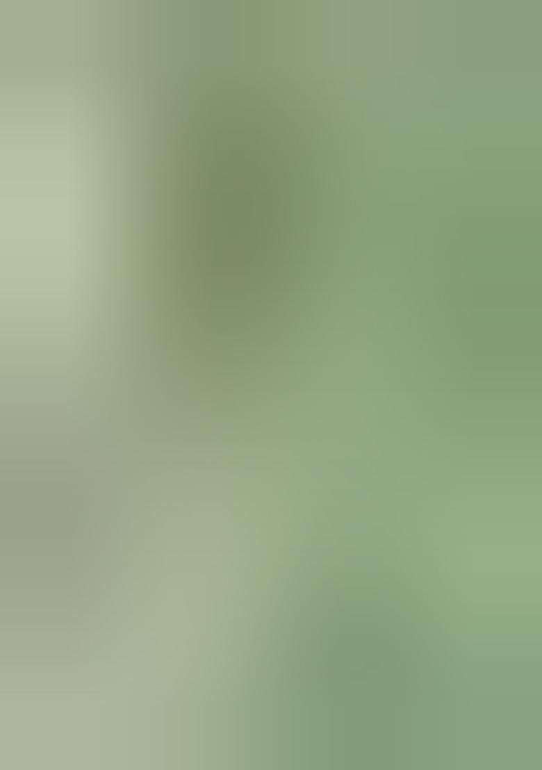 Green Printed Cotton Blend Salwar Kameez With Dupatta