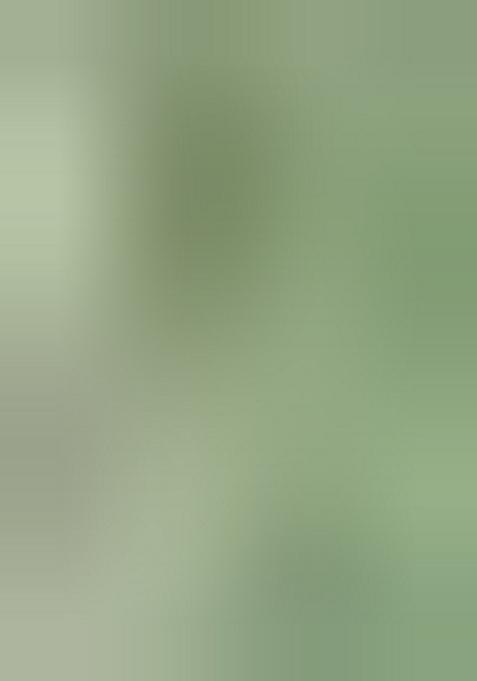 Green Printed Cotton Blend Salwar Kameez With Dupatta