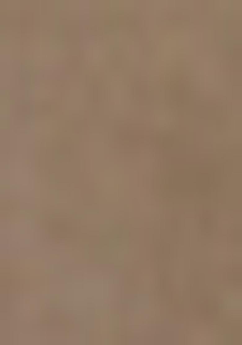 Beige Printed Cotton Salwar Kameez With Dupatta