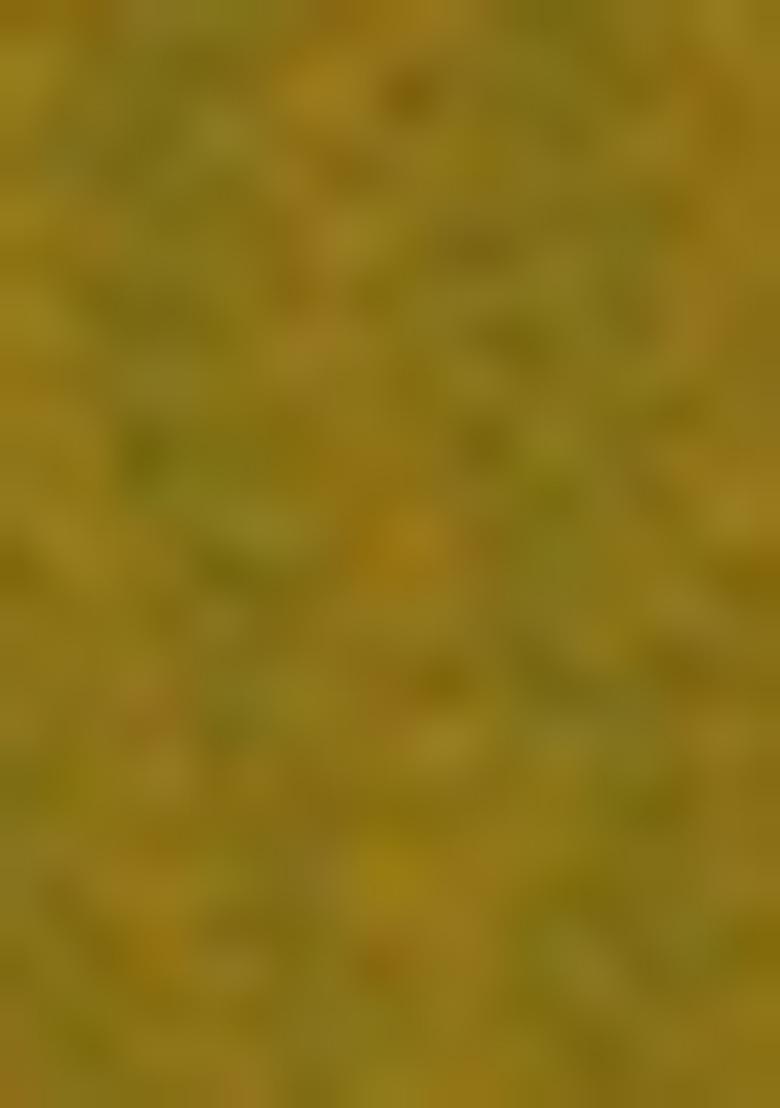 Green Embroidered Georgette Salwar Kameez With Dupatta