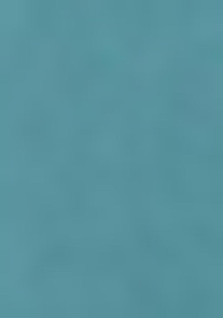 Sky Blue Embroidered Rayon Salwar Kameez With Dupatta