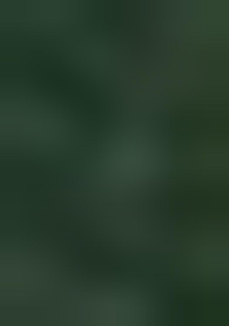 Jade Green Printed Georgette Salwar Kameez With Dupatta