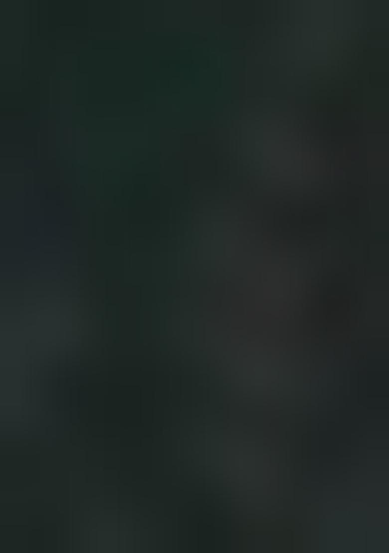 Green Printed Rayon Salwar Kameez With Dupatta