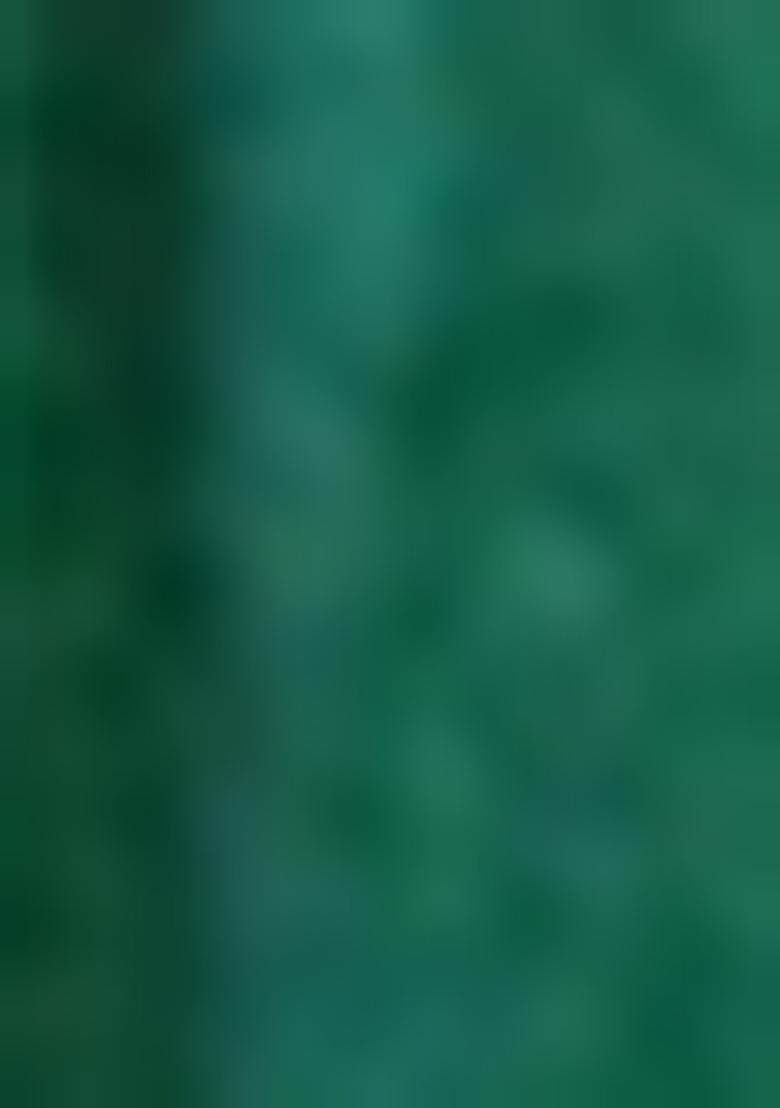 Teal Blue Printed Viscose Salwar Kameez With Dupatta