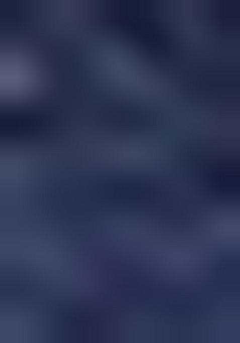 Blue Printed Cotton Salwar Kameez With Dupatta